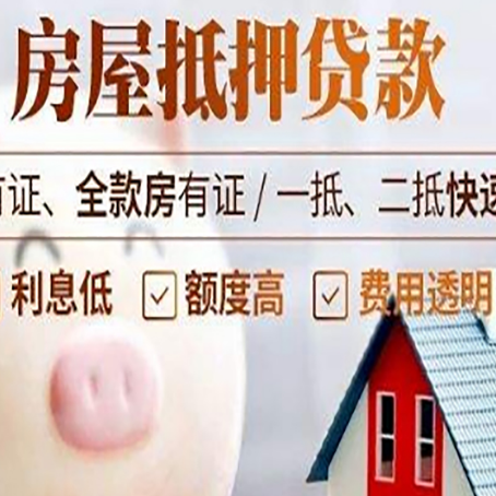 和平镇贷款助贷公司新渝启服成立时间久